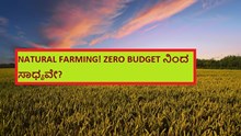 NATURAL FARMING! ZERO BUDGET ನಿಂದ ಸಾಧ್ಯವೇ?  NATURAL FARMING! ZERO BUDGET ನಿಂದ ಸಾಧ್ಯವೇ?