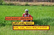 2022ರ BUDGET! ಯಾರಿಗಾಗಿ? ರೈತರಿಗೆ ಎಷ್ಟು ಪಾಲು? ಮತ್ತು ಎಷ್ಟು ಪಾಲು ಹೆಚ್ಚಿಗೆ ಸಿಗಲಿದೆ?  2022ರ BUDGET! ಯಾರಿಗಾಗಿ? ರೈತರಿಗೆ ಎಷ್ಟು ಪಾಲು? ಮತ್ತು ಎಷ್ಟು ಪಾಲು ಹೆಚ್ಚಿಗೆ ಸಿಗಲಿದೆ?