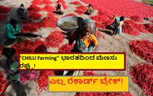"CHILLI Farming" ಭಾರತದಿಂದ ಮೆಣಸು ರಫ್ತು! ಎಲ್ಲ ರೆಕಾರ್ಡ್ ಬ್ರೇಕ್!