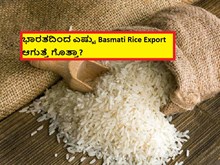 ಭಾರತದಿಂದ ಎಷ್ಟು Basmati Rice Export ಆಗುತ್ತೆ ಗೊತ್ತಾ?  ಭಾರತದಿಂದ ಎಷ್ಟು Basmati Rice Export ಆಗುತ್ತೆ ಗೊತ್ತಾ?