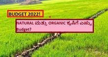 BUDGET 2022! NATURAL ಮತ್ತು ORGANIC ಕೃಷಿಗೆ ಎಷ್ಟು Budget?