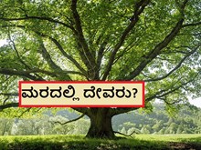 ಮರದಲ್ಲಿ ದೇವರು?  ಮರದಲ್ಲಿ ದೇವರು?