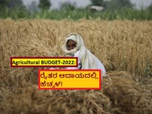 Agricultural BUDGET-2022: ರೈತರ ಆದಾಯದಲ್ಲಿ ಹೆಚ್ಚಳ! 