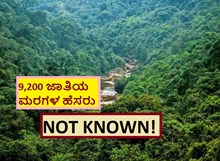 9,200 ಜಾತಿಯ ಮರಗಳ ಹೆಸರು NOT KNOWN! 9,200 ಜಾತಿಯ ಮರಗಳ ಹೆಸರು NOT KNOWN!