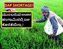 DAP SHORTAGE! ಮುಂಬರುವ KHARIF ಹಂಗಾಮಿನಲ್ಲಿDAP ಕೊರತೆಯಿಲ್ಲ!	