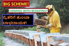 BIG SCHEME! FARMING WITH BEEKIPING! ರೈತರಿಗೆ ತುಂಬಾ ಲಾಭದಾಯಕ!	