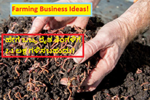 Farming Business Ideas! ಹೇಗೆ ಒಬ್ಬ ರೈತ ತಿಂಗಳಿಗೆ 1-2 ಲಕ್ಷ ಗಳಿಸಬಹುದು?