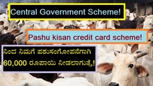 Central Government Scheme! Pashu kisan credit card scheme! ನಿಂದ ನಿಮಗೆ ಪಶುಸಂಗೋಪನೆಗಾಗಿ 60,000 ರೂಪಾಯಿ ನೀಡಲಾಗುತ್ತೆ! Central Government Scheme! Pashu kisan credit card scheme! ನಿಂದ ನಿಮಗೆ ಪಶುಸಂಗೋಪನೆಗಾಗಿ 60,000 ರೂಪಾಯಿ ನೀಡಲಾಗುತ್ತೆ!