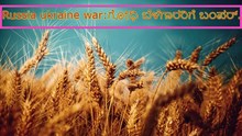 Goodnews: ರಷ್ಯಾ ಉಕ್ರೇನ್ ಸಮರ:  ದೇಶದ  ಗೋಧಿಗೆ ಬಂತು ಭಾರೀ ಬೇಡಿಕೆ..! Goodnews: ರಷ್ಯಾ ಉಕ್ರೇನ್ ಸಮರ:  ದೇಶದ  ಗೋಧಿಗೆ ಬಂತು ಭಾರೀ ಬೇಡಿಕೆ..!