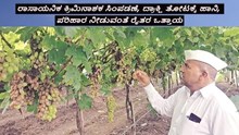 ರಾಸಾಯನಿಕ ಕ್ರಿಮಿನಾಶಕ ಸಿಂಪಡಣೆ, ದ್ರಾಕ್ಷಿ ತೋಟಕ್ಕೆ ಹಾನಿ, ಪರಿಹಾರ ನೀಡುವಂತೆ ರೈತರ ಒತ್ತಾಯ ರಾಸಾಯನಿಕ ಕ್ರಿಮಿನಾಶಕ ಸಿಂಪಡಣೆ, ದ್ರಾಕ್ಷಿ ತೋಟಕ್ಕೆ ಹಾನಿ, ಪರಿಹಾರ ನೀಡುವಂತೆ ರೈತರ ಒತ್ತಾಯ