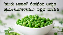 Green Peas: ʻಹಸಿರು ಬಟಾಣೆʼ ಸೇವನೆಯ ಅದ್ಭುತ ಪ್ರಯೋಜನಗಳೇನು..? ಇಲ್ಲಿದೆ ಮಾಹಿತಿ