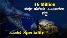 36 Million ವರ್ಷ ಹಳೆಯ ತಿಮಿಂಗಲು ಪತ್ತೆ! ಇದರ Speciality ಏನು? 36 Million ವರ್ಷ ಹಳೆಯ ತಿಮಿಂಗಲು ಪತ್ತೆ! ಇದರ Speciality ಏನು?