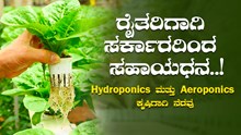 ರೈತರಿಗಾಗಿ ಸರ್ಕಾರದಿಂದ ಸಹಾಯಧನ..! Hydroponics ಮತ್ತು Aeroponics ಕೃಷಿಗಾಗಿ ನೆರವು