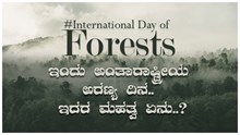 #International Day of Forests: ಇಂದು ಅಂತಾರಾಷ್ಟ್ರೀಯ ಅರಣ್ಯ ದಿನ..ಇದರ ಮಹತ್ವ ಏನು..? #International Day of Forests: ಇಂದು ಅಂತಾರಾಷ್ಟ್ರೀಯ ಅರಣ್ಯ ದಿನ..ಇದರ ಮಹತ್ವ ಏನು..?