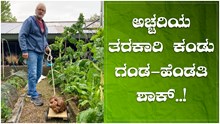 ಪತ್ತೆಯಾಯ್ತು ಆಲೂಗಡ್ಡೆ ಮಾದರಿಯ ವಿಶೇಷ ತರಕಾರಿ..ಅಸಲಿಗೆ ಏನಿದು..?