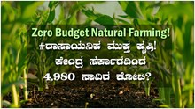Zero Budget Natural Farming! #ರಾಸಾಯನಿಕ ಮುಕ್ತ ಕೃಷಿ! ಕೇಂದ್ರ ಸರ್ಕಾರದಿಂದ ದೊಡ್ಡ ಸಹಾಯ? Zero Budget Natural Farming! #ರಾಸಾಯನಿಕ ಮುಕ್ತ ಕೃಷಿ! ಕೇಂದ್ರ ಸರ್ಕಾರದಿಂದ ದೊಡ್ಡ ಸಹಾಯ?