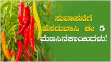 ಸುವಾಸನೆಗೆ ಹೆಸರು ವಾಸಿ ಈ 5 ಮೆಣಸಿನಕಾಯಿಗಳು!