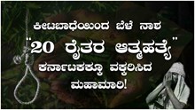 ಕೀಟಬಾಧೆಯಿಂದ ಬೆಳೆ ನಾಶ  “20 ರೈತರ ಆತ್ಮಹತ್ಯೆ” ಕರ್ನಾಟಕಕ್ಕೂ ವಕ್ಕರಿಸಿದ ಮಹಾಮಾರಿ! ಕೀಟಬಾಧೆಯಿಂದ ಬೆಳೆ ನಾಶ  “20 ರೈತರ ಆತ್ಮಹತ್ಯೆ” ಕರ್ನಾಟಕಕ್ಕೂ ವಕ್ಕರಿಸಿದ ಮಹಾಮಾರಿ!