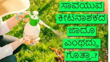 organic pesticides:ಬೆಳೆ ರೋಗಗಳಿಗೆ ರಾಮಬಾಣವಾದ ಸಾವಯುವ ಕೀಟನಾಶಕದ ಜಾದೂ ಎಂಥದ್ದು ಗೊತ್ತಾ..? ಇದರ ತಯಾರಿಕೆ ಹೇಗೆ..?