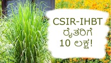 CSIR-IHBT ರೈತರಿಗೆ 10 ಲಕ್ಷ!   ಲೆಮನ್ಗ್ರಾಸ್ ಸ್ಲಿಪ್, 75 ಕೆಜಿ ಮಾರಿಗೋಲ್ಡ್ ಬೀಜ ವಿತರಣೆಗೆ FPO ನಿರ್ಧಾರ CSIR-IHBT ರೈತರಿಗೆ 10 ಲಕ್ಷ!   ಲೆಮನ್ಗ್ರಾಸ್ ಸ್ಲಿಪ್, 75 ಕೆಜಿ ಮಾರಿಗೋಲ್ಡ್ ಬೀಜ ವಿತರಣೆಗೆ FPO ನಿರ್ಧಾರ