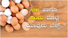 ಎರಡು ಮೊಟ್ಟೆಯ ಕಥೆ: ಬಿಳಿ ಹಾಗೂ ಕಂದು ಮೊಟ್ಟೆಗಳಲ್ಲಿ ಯಾವುದು ಬೆಸ್ಟ್‌.. ಇಲ್ಲಿದೆ ನಿಮಗೆ ಗೊತ್ತಿರದ ಸಂಗತಿ