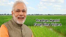 ಫಸಲ್ ಬಿಮಾ ಯೋಜನೆ: ಬೆಳೆ ವಿಮೆಯ ಪ್ರೀಮಿಯಂ ಮೊತ್ತ ತಿಳಿದುಕೊಳ್ಳುವುದು ಹೇಗೆ..?