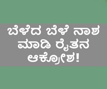 ಬೆಳೆದ ಬೆಳೆ ನಾಶ ಮಾಡಿ ರೈತನ ಆಕ್ರೋಶ! ಬೆಳೆದ ಬೆಳೆ ನಾಶ ಮಾಡಿ ರೈತನ ಆಕ್ರೋಶ!