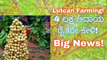 Lutcan Farming! 4 ಲಕ್ಷ ಆದಾಯ ರೈತರೇ ಕೇಳಿ! Big News!