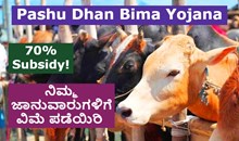 Pashu Dhan Bima Yojana!   70% Subsidyಯೊಂದಿಗೆ ನಿಮ್ಮ ಜಾನುವಾರುಗಳಿಗೆ ವಿಮೆ ಪಡೆಯಿರಿ 