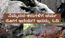 ನಿಮ್ಮ ದನ-ಕರುಗಳಿಗೆ ಚರ್ಮ ರೋಗ ಇದೆಯೇ? ಇದನ್ನು ಓದಿ