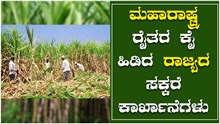 ಮಹಾರಾಷ್ಟ್ರದ ಕಬ್ಬು ಬೆಳೆಗಾರರ ಕೈ ಹಿಡಿದ ರಾಜ್ಯದ ಸಕ್ಕರೆ ಕಾರ್ಖಾನೆಗಳು