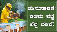 ಜೇನುಸಾಕಣೆ: ಕಡಿಮೆ ವೆಚ್ಚ ಹೆಚ್ಚು ಗಳಿಕೆ!