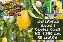 ಬೆಲೆ ಏರಿಕೆಯ ಕೊಂಬೆಗೆ ಸಿಲುಕಿದ ನಿಂಬೆ! KG ಗೆ 300 ರೂ, RBI ಎಚ್ಚರಿಕೆ  ಬೆಲೆ ಏರಿಕೆಯ ಕೊಂಬೆಗೆ ಸಿಲುಕಿದ ನಿಂಬೆ! KG ಗೆ 300 ರೂ, RBI ಎಚ್ಚರಿಕೆ