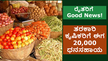 ರೈತರಿಗೆ Good News! ತರಕಾರಿ ಕೃಷಿಕರಿಗೆ ಈಗ 20,000 ಧನಸಹಾಯ ರೈತರಿಗೆ Good News! ತರಕಾರಿ ಕೃಷಿಕರಿಗೆ ಈಗ 20,000 ಧನಸಹಾಯ