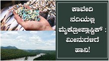 ಕಾವೇರಿ ನದಿಯಲ್ಲಿ ಮೈಕ್ರೋಪ್ಲಾಸ್ಟಿಕ್ ಪತ್ತೆ ; ಮೀನುಗಳಿಗೆ ಹಾನಿ! ಕಾವೇರಿ ನದಿಯಲ್ಲಿ ಮೈಕ್ರೋಪ್ಲಾಸ್ಟಿಕ್ ಪತ್ತೆ ; ಮೀನುಗಳಿಗೆ ಹಾನಿ!