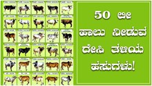 50 ಲೀ. ವರೆಗೆ ಹಾಲು ನೀಡುವ ದೇಸಿ ತಳಿಯ ಹಸುಗಳು! ರೈತರಿಗೆ ಇಲ್ಲಿದೆ ಉಪಯುಕ್ತ ಮಾಹಿತಿ.