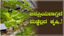 ಜೋರಾಗಿದೆ Hydroponic Farmingಗೆ ಬೇಡಿಕೆ..ಇಲ್ಲಿವೆ ಟಾಪ್‌ 5 ತರಕಾರಿಗಳು