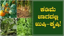 ಕಡಿಮೆ ಜಾಗದಲ್ಲಿಯೂ ಸಾವಯವ ಕೃಷಿ ಮಾಡುವ ಅದ್ಬುತ  ಐಡಿಯಾಗಳು!