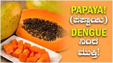 Papaya! (ಪಪ್ಪಾಯಿ) Dengue ನಿಂದ ಮುಕ್ತಿ! 