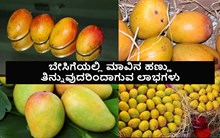 ಬೇಸಿಗೆಯಲ್ಲಿ ಮಾವಿನ ಹಣ್ಣು ತಿನ್ನುವುದರಿಂದಾಗುವ ಲಾಭಗಳು!