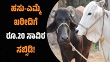 ರೈತರಿಗೆ ಸಿಹಿಸುದ್ದಿ : ಹಸು-ಎಮ್ಮೆ ಖರೀದಿಗೆ ರೂ.20 ಸಾವಿರ ಸಬ್ಸಿಡಿ! ರಾಜ್ಯ ಸರ್ಕಾರದ ಭರ್ಜರಿ ಕೊಡುಗೆ! ರೈತರಿಗೆ ಸಿಹಿಸುದ್ದಿ : ಹಸು-ಎಮ್ಮೆ ಖರೀದಿಗೆ ರೂ.20 ಸಾವಿರ ಸಬ್ಸಿಡಿ! ರಾಜ್ಯ ಸರ್ಕಾರದ ಭರ್ಜರಿ ಕೊಡುಗೆ!
