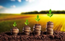 ಮಹತ್ವದ ಮಾಹಿತಿ : ನಿಮ್ಮ ಮಗುವಿನ ಹೆಸರಲ್ಲಿ Invest ಮಾಡಿ ಹಣ ಉಳಿತಾಯ ಮಾಡಿ! ಮಹತ್ವದ ಮಾಹಿತಿ : ನಿಮ್ಮ ಮಗುವಿನ ಹೆಸರಲ್ಲಿ Invest ಮಾಡಿ ಹಣ ಉಳಿತಾಯ ಮಾಡಿ!