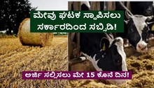 ಮೇವು ಘಟಕ ಸ್ಥಾಪಿಸಲು ಸರ್ಕಾರದಿಂದ ಸಬ್ಸಿಡಿ: ಅರ್ಜಿ ಸಲ್ಲಿಸಲು ಮೇ 15 ಕೊನೆ ದಿನ!  ಮೇವು ಘಟಕ ಸ್ಥಾಪಿಸಲು ಸರ್ಕಾರದಿಂದ ಸಬ್ಸಿಡಿ: ಅರ್ಜಿ ಸಲ್ಲಿಸಲು ಮೇ 15 ಕೊನೆ ದಿನ!
