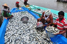 ಹಾವೇರಿಯಲ್ಲಿ “ಮೀನು ಹಬ್ಬ” ಆರಂಭ: ವಿಶೇಷ ಆಚರಣೆಯ ಬಗ್ಗೆ ನಿಮಗೆ ಗೊತ್ತೆ! ಇಲ್ಲಿದೆ ಕಂಪ್ಲಿಟ್ ಮಾಹಿತಿ. ಹಾವೇರಿಯಲ್ಲಿ “ಮೀನು ಹಬ್ಬ” ಆರಂಭ: ವಿಶೇಷ ಆಚರಣೆಯ ಬಗ್ಗೆ ನಿಮಗೆ ಗೊತ್ತೆ! ಇಲ್ಲಿದೆ ಕಂಪ್ಲಿಟ್ ಮಾಹಿತಿ.