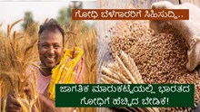ಗೋಧಿ ಬೆಳೆಗಾರರಿಗೆ ಸಿಹಿಸುದ್ದಿ.. ಜಾಗತಿಕ ಮಾರುಕಟ್ಟೆಯಲ್ಲಿ ಭಾರತದ ಗೋಧಿಗೆ ಹೆಚ್ಚಿದ ಬೇಡಿಕೆ! ಗೋಧಿ ಬೆಳೆಗಾರರಿಗೆ ಸಿಹಿಸುದ್ದಿ.. ಜಾಗತಿಕ ಮಾರುಕಟ್ಟೆಯಲ್ಲಿ ಭಾರತದ ಗೋಧಿಗೆ ಹೆಚ್ಚಿದ ಬೇಡಿಕೆ!