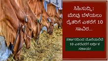 ರೈತರಿಗೆ ಸಿಹಿಸುದ್ದಿ: ಮೇವು ಬೆಳೆಯಲು ಎಕರೆಗೆ 10 ಸಾವಿರ … ಸರ್ಕಾರದಿಂದ ದೊರೆಯಲಿದೆ 10 ಎಕರೆವರೆಗೆ ಆರ್ಥಿಕ ಸಹಾಯ! ರೈತರಿಗೆ ಸಿಹಿಸುದ್ದಿ: ಮೇವು ಬೆಳೆಯಲು ಎಕರೆಗೆ 10 ಸಾವಿರ … ಸರ್ಕಾರದಿಂದ ದೊರೆಯಲಿದೆ 10 ಎಕರೆವರೆಗೆ ಆರ್ಥಿಕ ಸಹಾಯ!