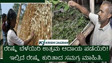  ರೇಷ್ಮೆ ಬೆಳೆಯಿರಿ ಉತ್ತಮ ಆದಾಯ ಪಡೆಯಿರಿ! ಇಲ್ಲಿದೆ ರೇಷ್ಮೆ ಕುರಿತಾದ ಸಮಗ್ರ ಮಾಹಿತಿ.