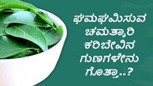 ಘಮಘಮಿಸುವ ಚಮತ್ಕಾರಿ ಕರಿಬೇವಿನ ಗುಣಗಳೇನು ಗೊತ್ತಾ..?