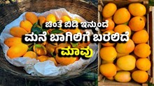 ಚಿಂತೆ ಬಿಡಿ..ಇನ್ಮುಂದೆ ಮನೆ ಬಾಗಿಲಿಗೆ ಬರಲಿದೆ ಮಾವು.. ರೈತರಿಗಾಗಿ ಹೊಸ ಪ್ಲಾನ್ ಮಾಡಿದ ಸರ್ಕಾರ  ಚಿಂತೆ ಬಿಡಿ..ಇನ್ಮುಂದೆ ಮನೆ ಬಾಗಿಲಿಗೆ ಬರಲಿದೆ ಮಾವು.. ರೈತರಿಗಾಗಿ ಹೊಸ ಪ್ಲಾನ್ ಮಾಡಿದ ಸರ್ಕಾರ