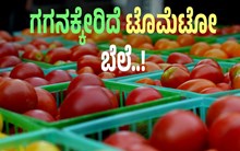 Tometo Price: ಗಗನಕ್ಕೇರಿದ ಟೊಮೆಟೋ ಬೆಲೆ..ಬೆಳೆಗಾರರಿಗೆ ಸುಗ್ಗಿ Tometo Price: ಗಗನಕ್ಕೇರಿದ ಟೊಮೆಟೋ ಬೆಲೆ..ಬೆಳೆಗಾರರಿಗೆ ಸುಗ್ಗಿ